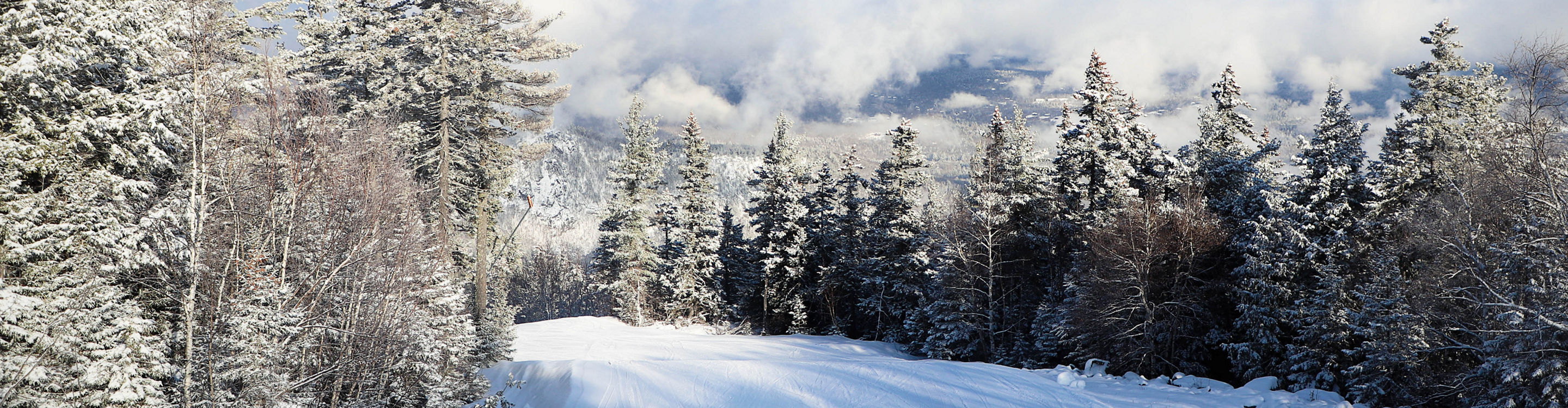 Freshly Dusted Trees Lining Ski Run at Attitash