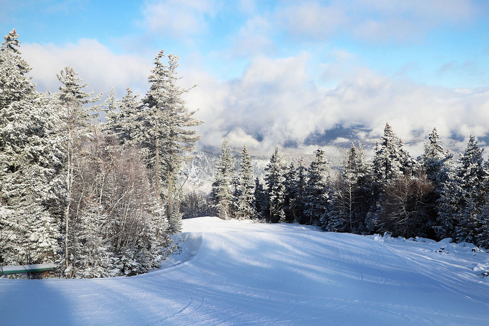 Freshly Dusted Trees Lining Ski Run at Attitash