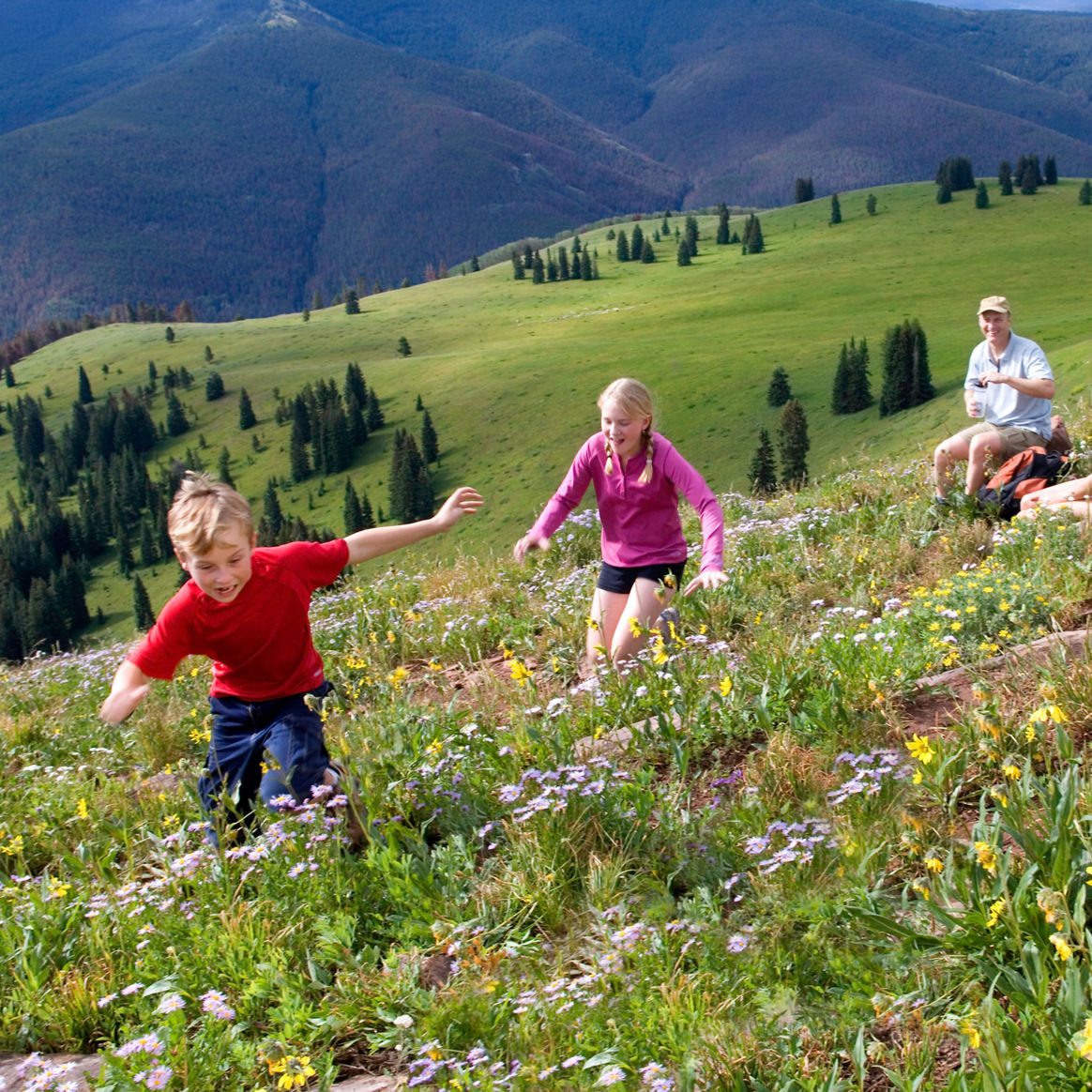 Hiking in the summertime in Vail, CO.