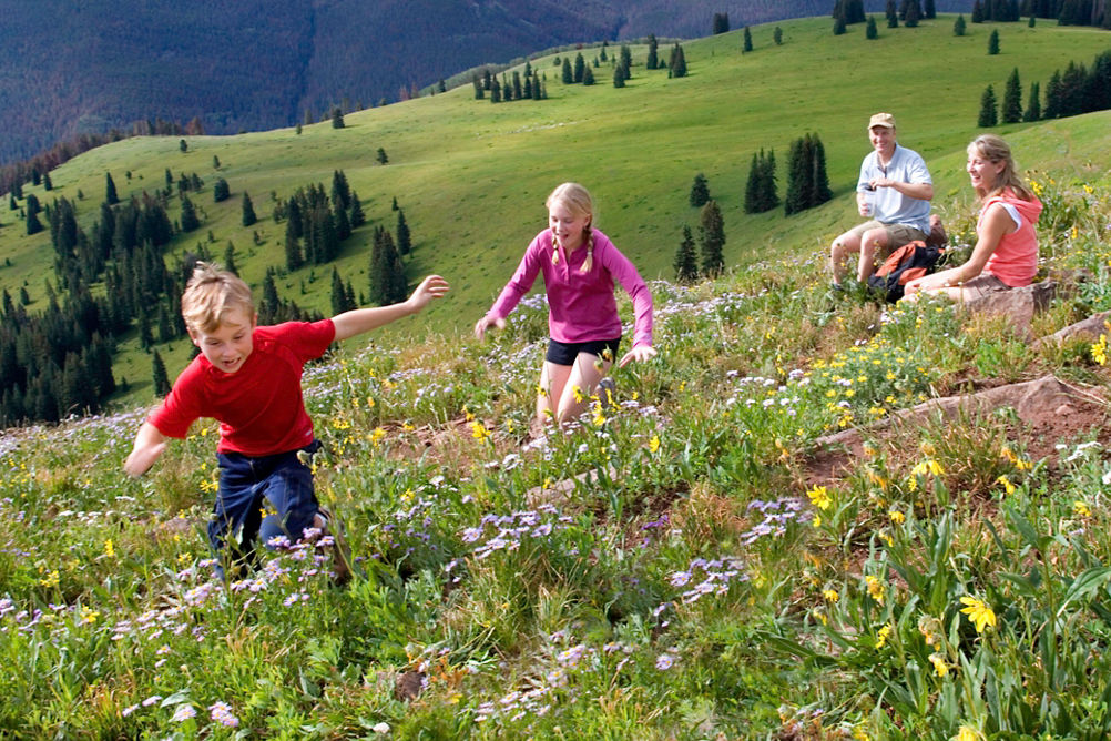 Hiking in the summertime in Vail, CO.