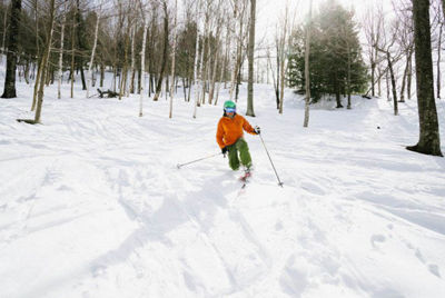 Telemark Skier Skis through the Trees at Attitash