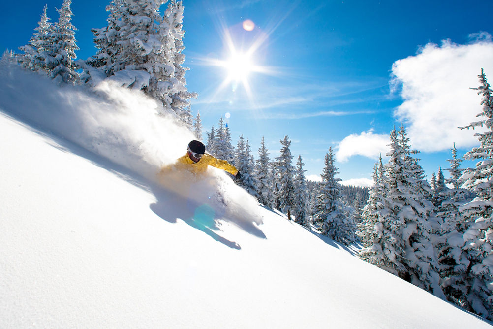Skiing Powder in Blue Sky Basin In Vail, CO.