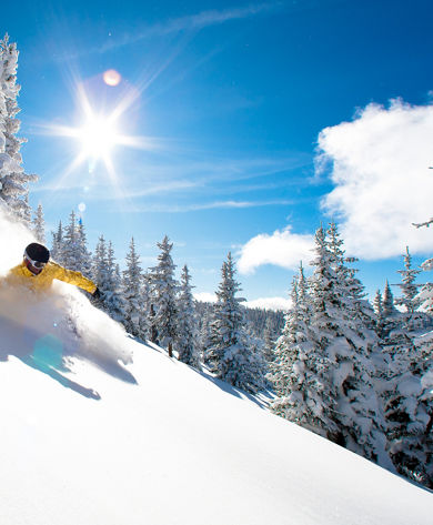 Skiing Powder in Blue Sky Basin In Vail, CO.