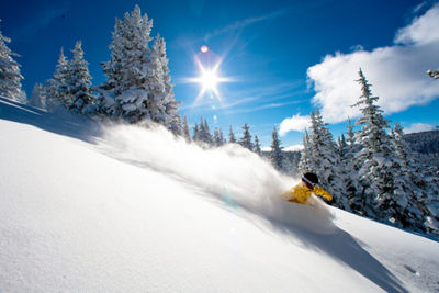 Skiing Powder in Blue Sky Basin In Vail, CO.