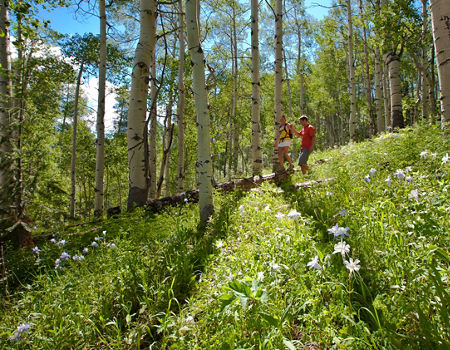 Summer Hiking In Vail, CO.