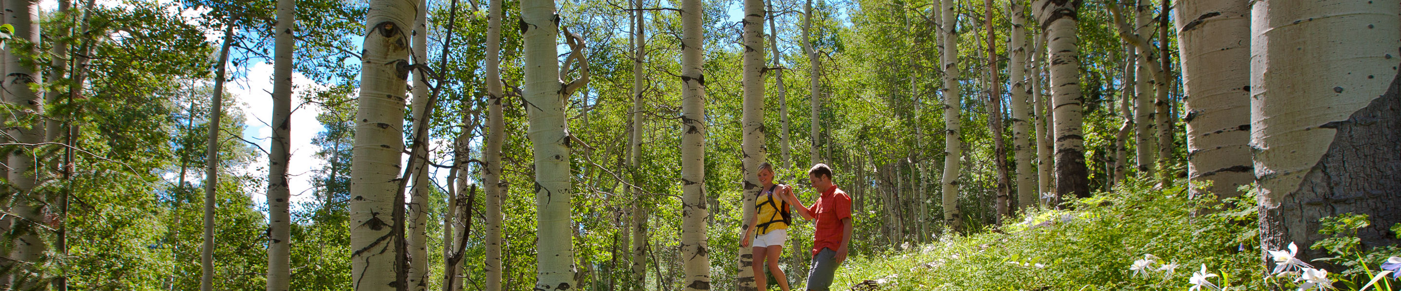 Summer Hiking In Vail, CO.