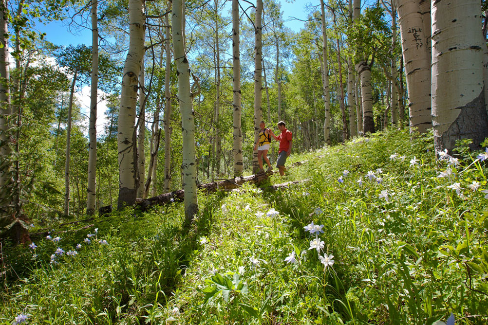 Summer Hiking In Vail, CO.