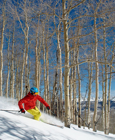Tree Skiing in Powder In Beaver Creek, CO.