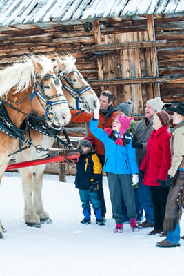Winter Sleigh Ride in Keystone, CO.