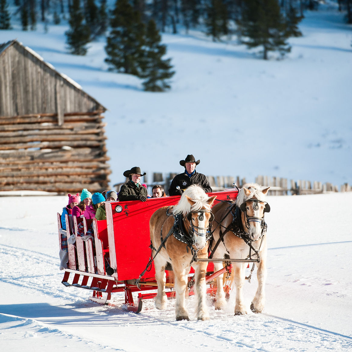 Winter Sleigh Ride in Keystone, CO.