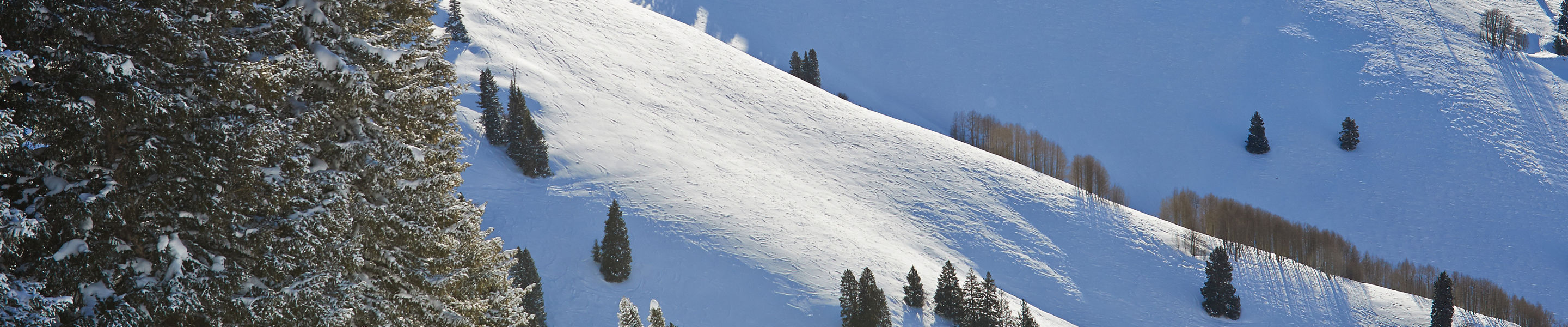 Back Bowl Scenery In Vail, Colorado.