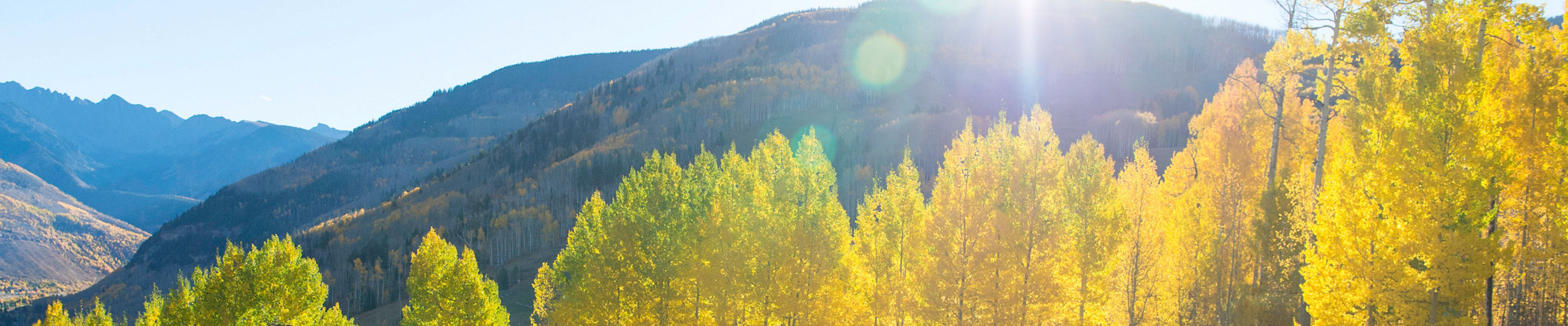 Couple hikes through fall colors in Vail, CO.