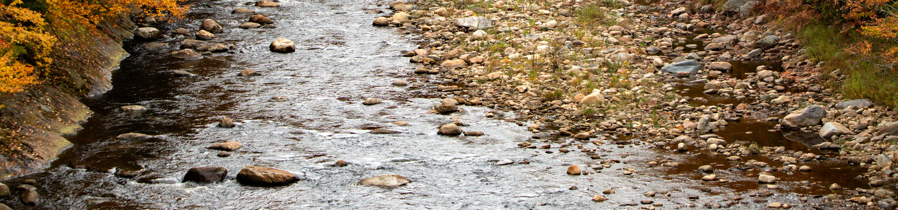 Autumn Leaves at Mount Snow