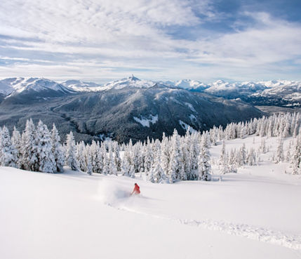 Snowboarder Hits Deep Powder at Whistler Blackcomb