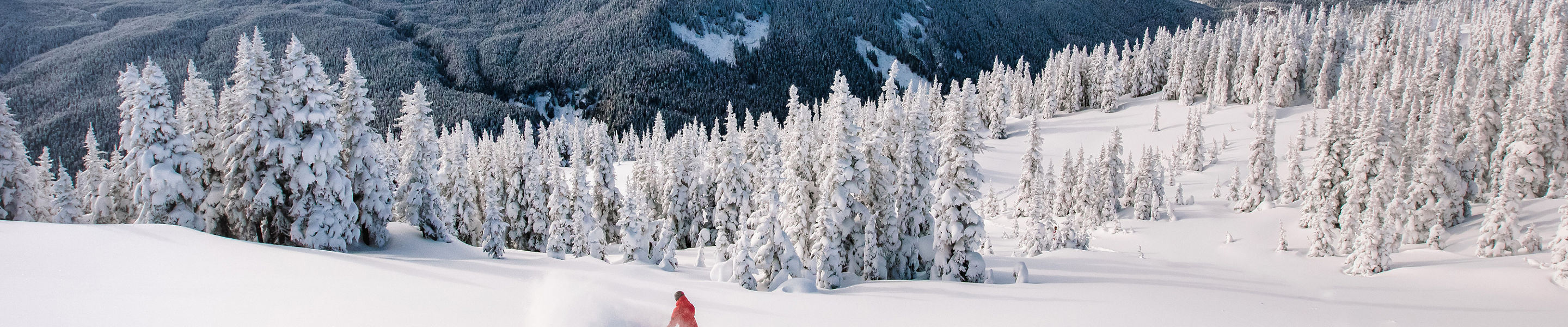 Snowboarder Hits Deep Powder at Whistler Blackcomb