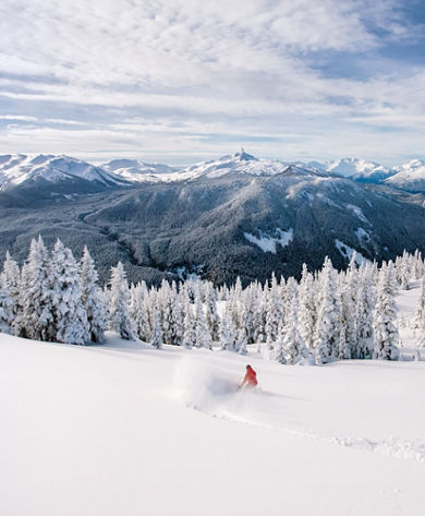 Snowboarder Hits Deep Powder at Whistler Blackcomb