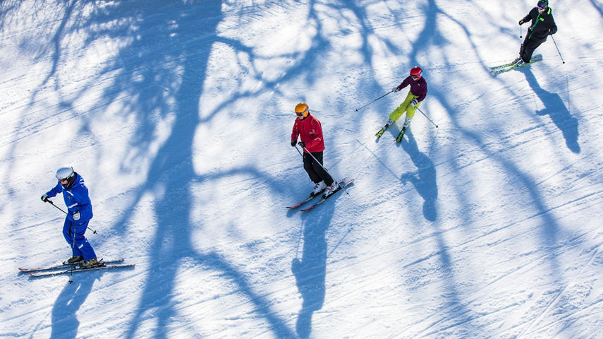Private Ski School lesson at Wilmot Mountain