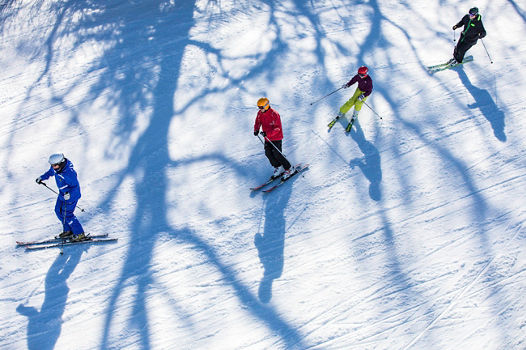 Private Ski School lesson at Wilmot Mountain