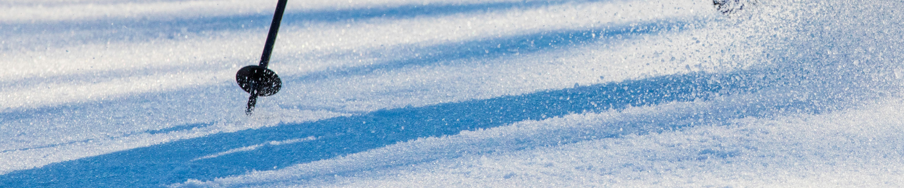 Family skis at sunrise in Wilmot Mountain