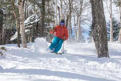 Skier Makes Turns Between Trees in Fresh Powder at Mount Snow