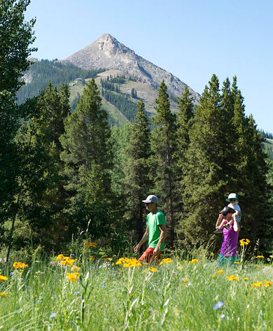 Family walks through wildflower field in Crested Butte, CO.