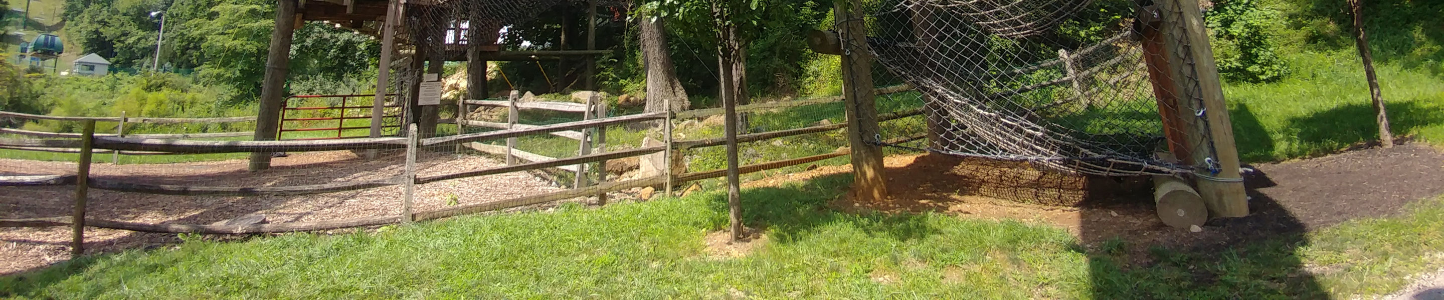 Switchback Tower at Roundtop Mountain Adventures