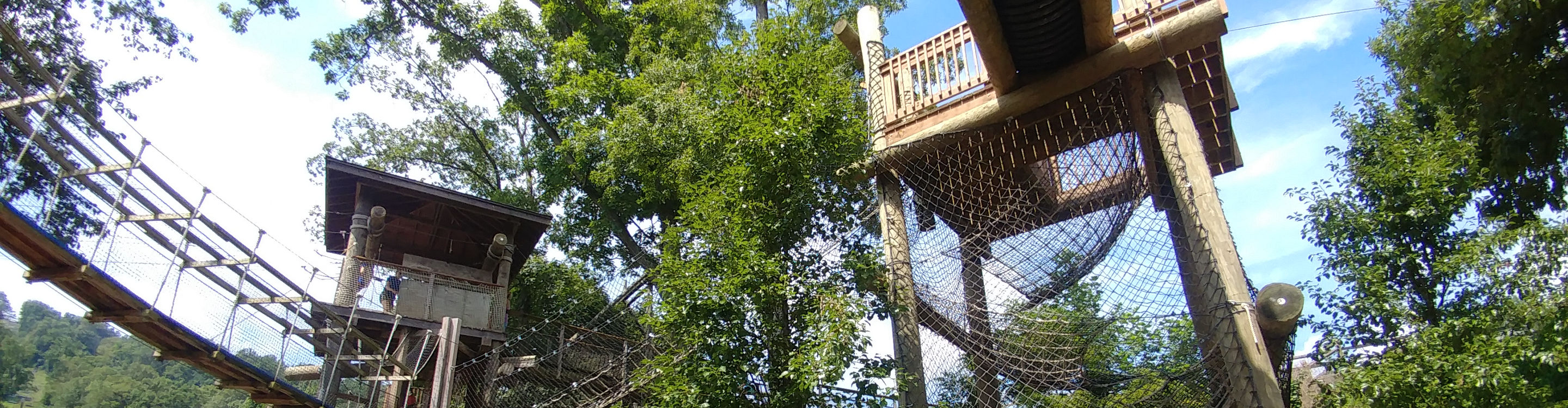 Switchback Tower at Roundtop Mountain Adventures