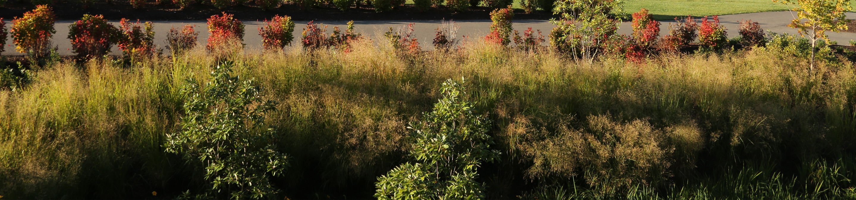 Golf Course at Liberty Mountain