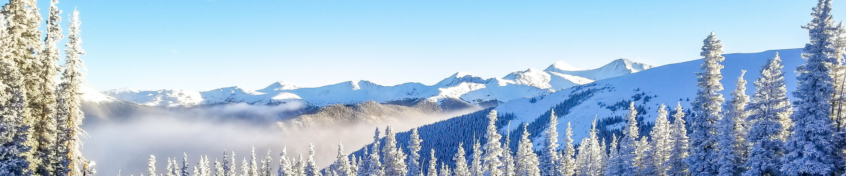 Fresh Fallen Snow in Keystone, CO.