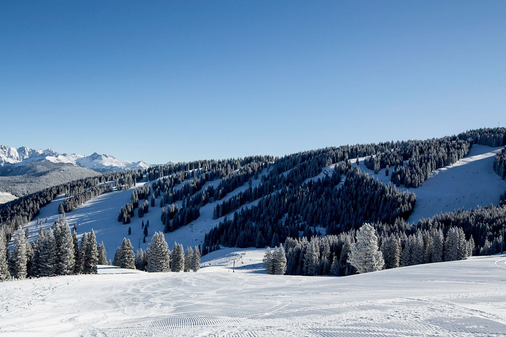 Groomed trail in Vail, CO.
