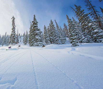 Fresh snow in Crested Butte, CO.