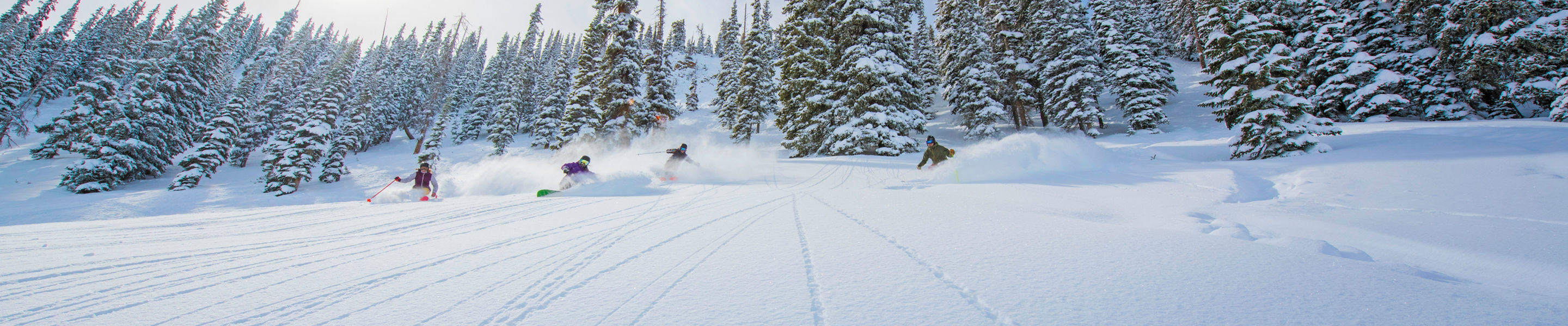 Fresh snow in Crested Butte, CO.