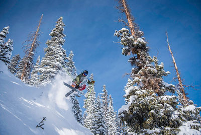 Skier in fresh snow in Crested Butte, CO.