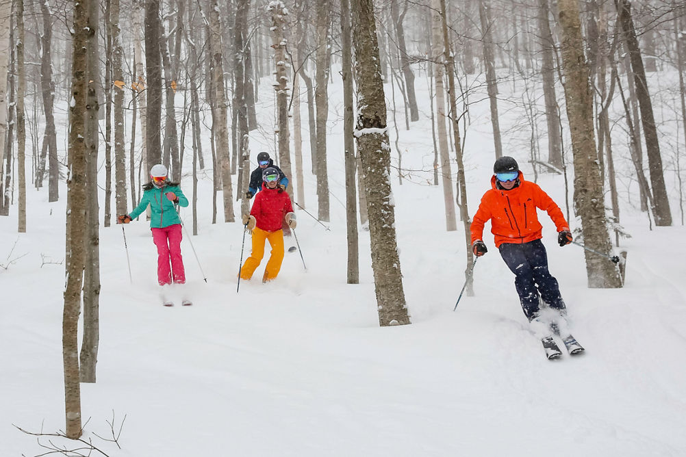 Group tree skiing in powder in Stowe, VT.