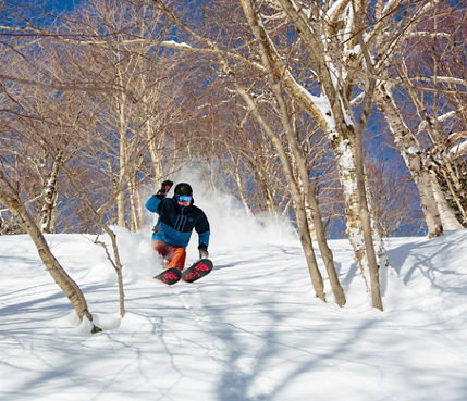 Skier in powder trees in Stowe, VT.