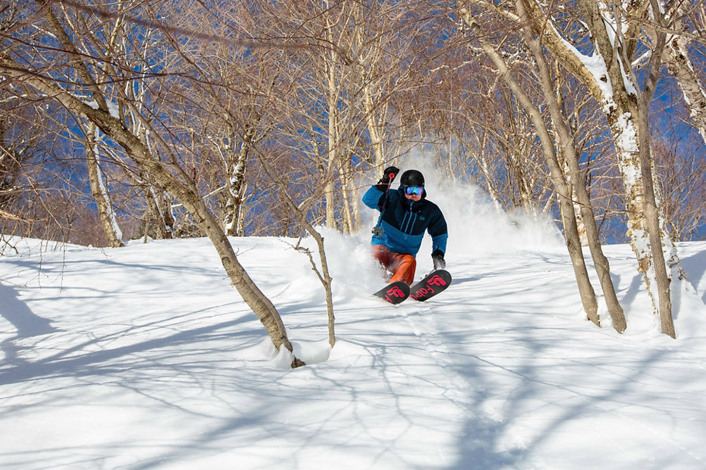 Skier in powder trees in Stowe, VT.