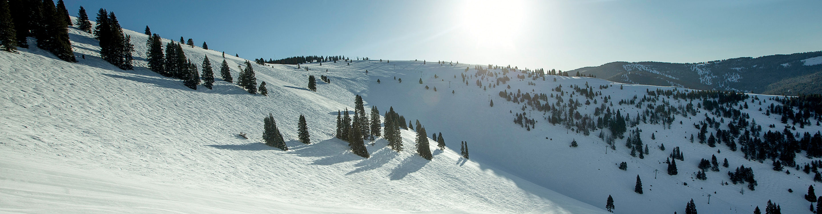 Ski School Lesson in the Back Bowls at Vail, CO