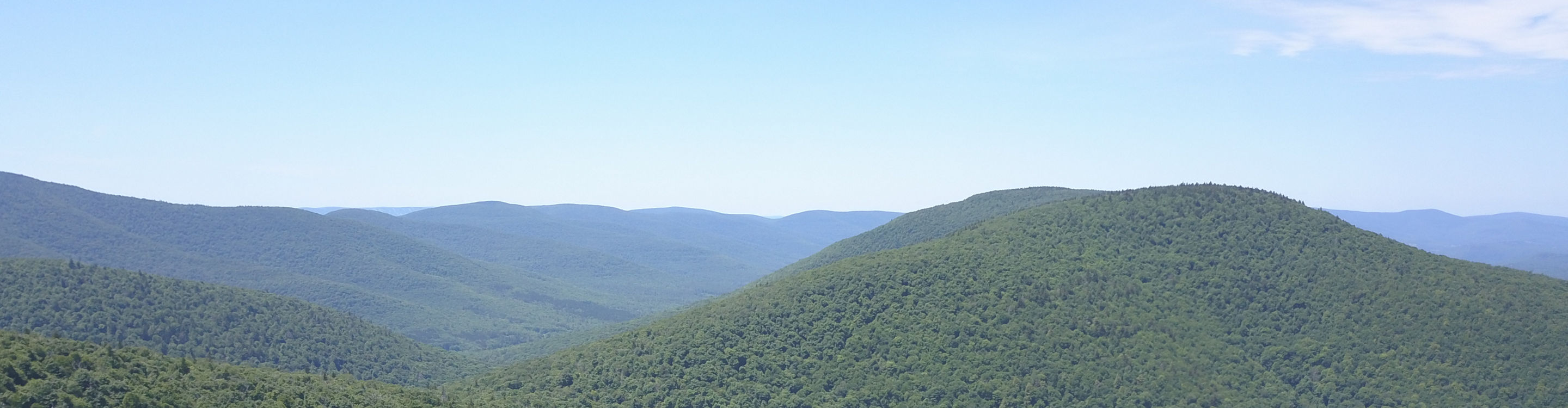 Summer Scenic Landscape Views During Summer Time at Hunter