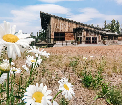 Northstar Summer Scenic