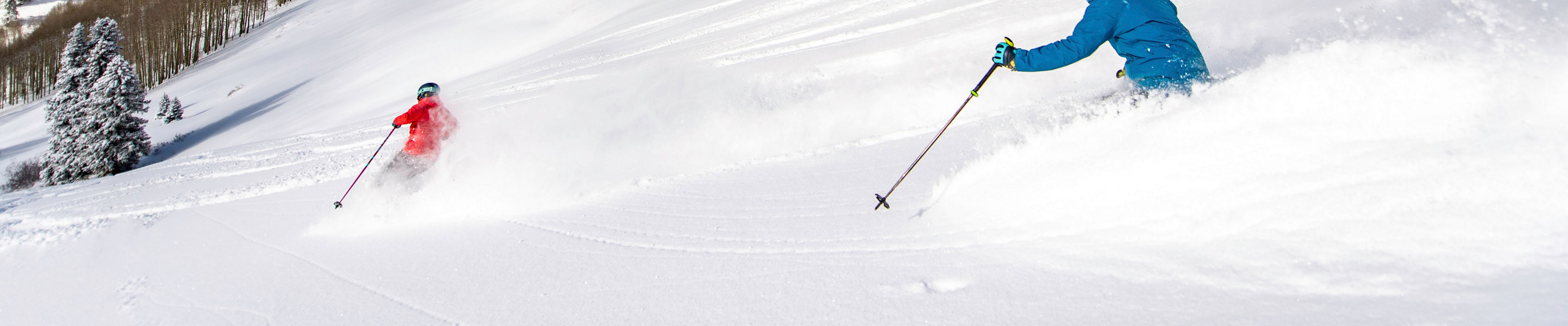 Skiing in the Back Bowls in Vail, CO.