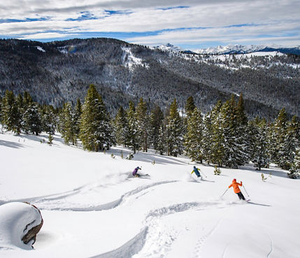 Skiing in the Blue Sky Basin in Vail, CO