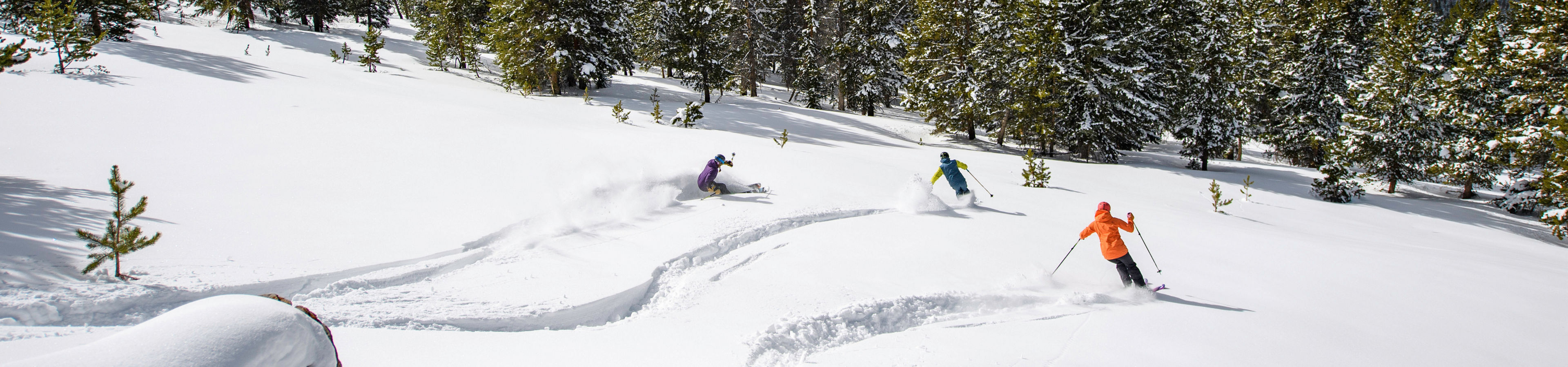 Skiing in the Blue Sky Basin in Vail, CO