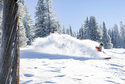 Skiing in the Blue Sky Basin in Vail, CO.