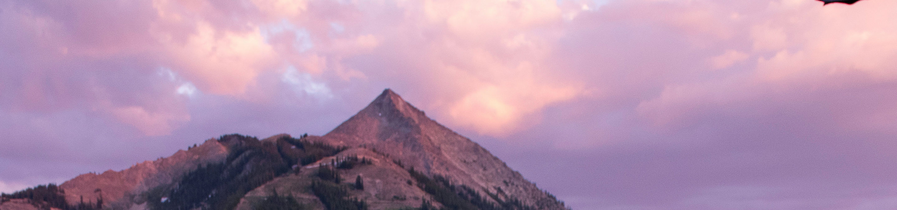 Sunshine over a ski trail in crested Butte, CO.