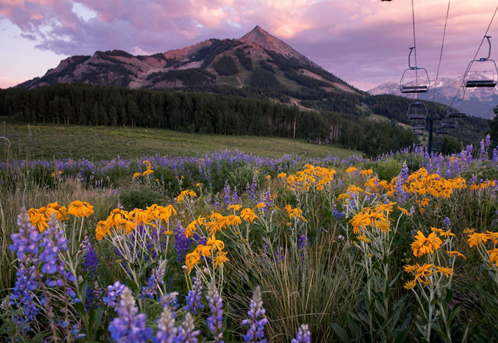 Sunshine over a ski trail in crested Butte, CO.