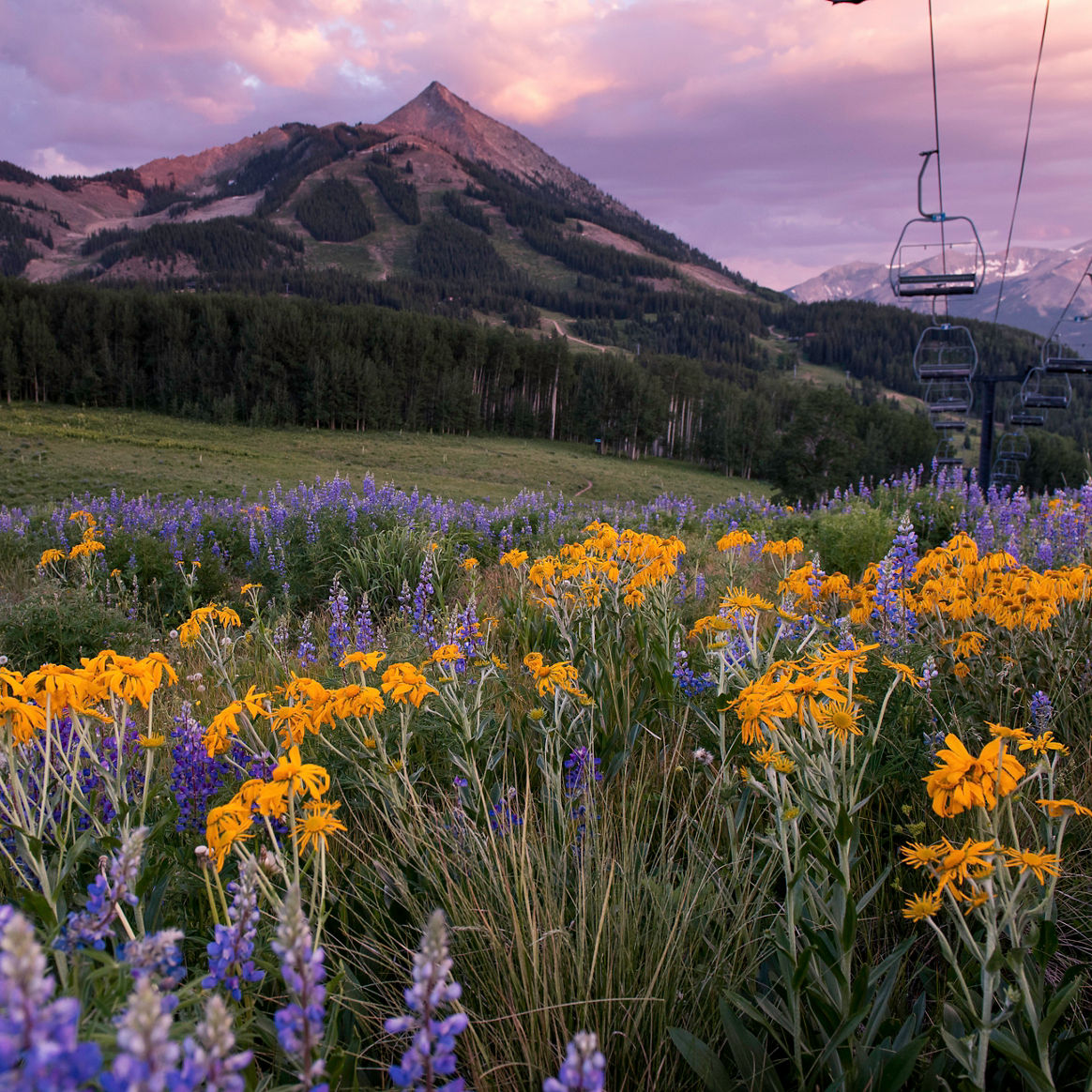 Sunshine over a ski trail in crested Butte, CO.