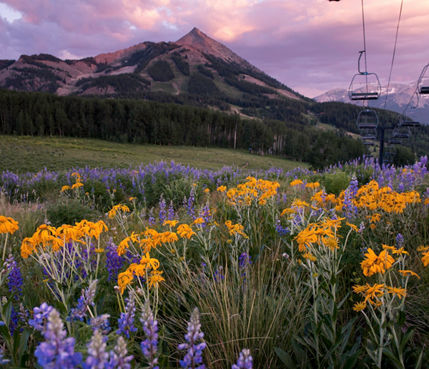 Sunshine over a ski trail in crested Butte, CO.