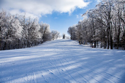 Hidden Valley-PA Winter Scenic Image