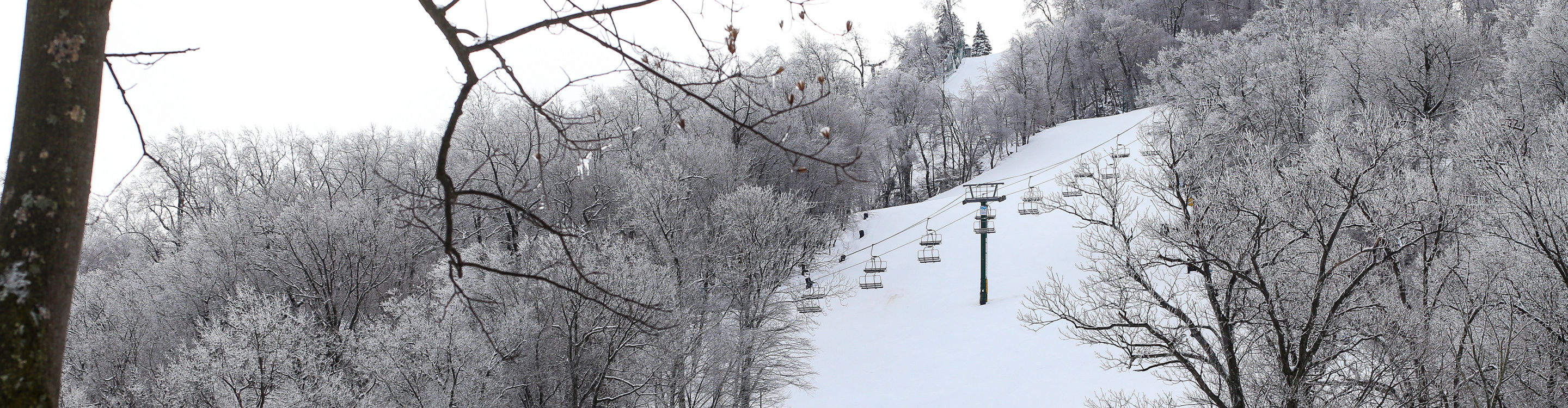 View of Snowy Exhibition Run at Roundtop