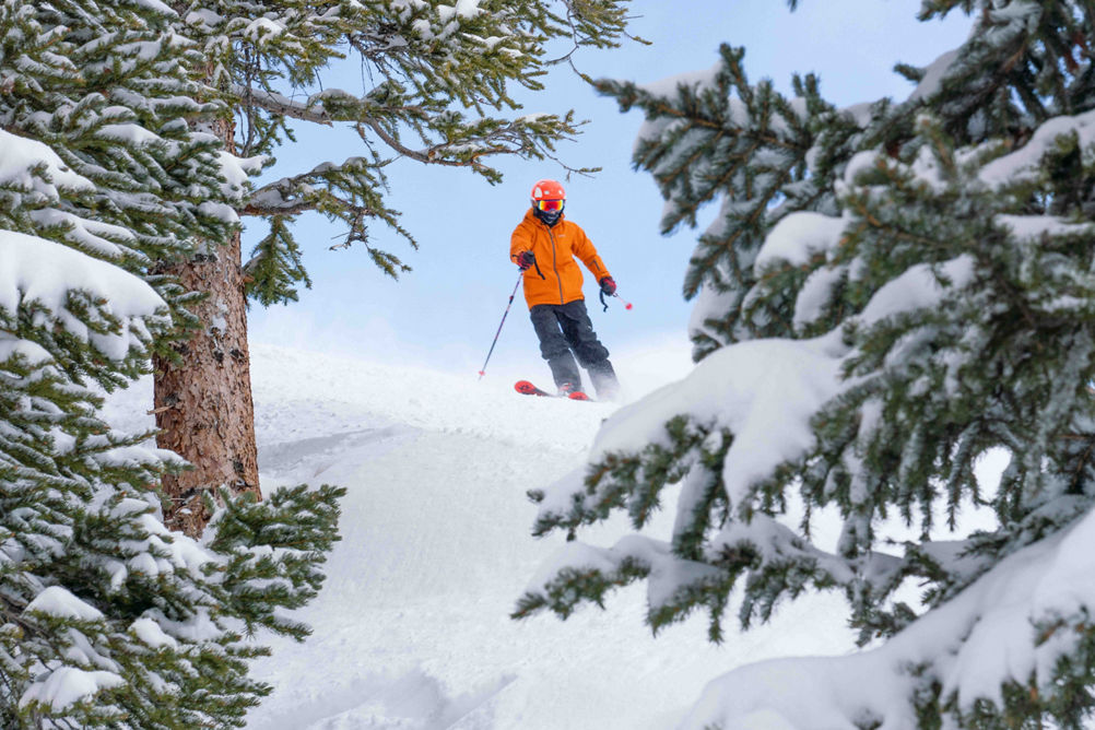 Skier near trees on Dercum Mountain in Keystone, CO
